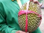 durian-bido-wonosalam.jpg