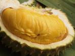 durian-musang-king_20160805_165006.jpg