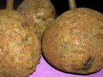 durian-unik-yang-tak-memiliki-duri-pada-kulitnya.jpg