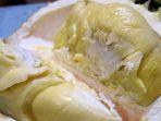 durian.jpg