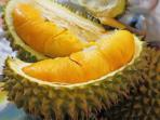 durian_20160925_094025.jpg
