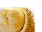 durian_20161220_191028.jpg