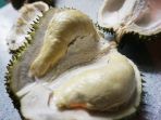 durian_20170322_095836.jpg