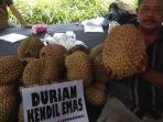 durian_20170604_074417.jpg