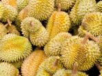 durian_20180211_150552.jpg