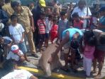 duyung_20170711_101236.jpg