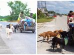 edgardo-zuniga-dan-anjing-anjing-miliknya_20181102_095548.jpg