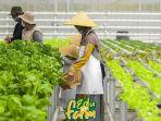 edu-farm-lembah-indah-malang.jpg