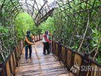 ekowisata-mangrove-surabaya.jpg