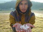 embun-upas-heboh-di-dieng-saat-musim-kemarau-dingin.jpg