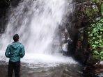 eril-di-air-terjun-desa-cicadas.jpg