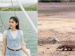 erina-gudono-pulau-rinca-lihat-komodo-pertama-kali.jpg