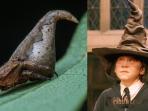 eriovixia-gryffindori_20161217_145820.jpg