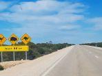 eyre-highway.jpg