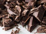 fakta-unik-cokelat.jpg