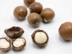 fakta-unik-macadamia-kacang-termahal-di-dunia.jpg