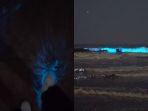 fenomena-langka-bioluminescence-di-lepas-pantai-venesia.jpg