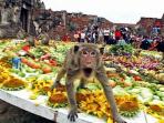 festival-monyet-lopburi_20161130_165037.jpg