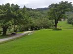 flying-cow-ranch-resort-taiwan_20160913_210408.jpg