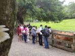 flying-cow-ranch-resort-taiwan_20160913_221620.jpg