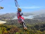 flying-fox_20170313_201237.jpg