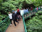 forest-walk-babakan-siliwangi-bandung.jpg