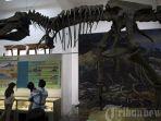 fosil-di-museum-geologi-bandung.jpg