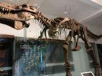 fosil-t-rex-di-museum-geologi-bandung.jpg