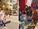 foto-kolase-yang-memperlihatkan-anjing-dicat-loreng-agar-menyerupai-harimau-di-china.jpg