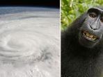 Monyet Selfie Hingga Badai Ike Luar Angkasa! Inilah 11 Foto Sains Favorit Sepanjang 2005 Hingga 2015