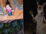 Sekali Lihat, 10 Foto Ini Bisa Ikut Buatmu Deg-degan! Itu Jamur atau Jari Zombie?