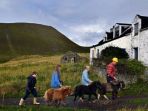 foula_20170106_214003.jpg