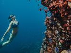 free-dive_20170914_155808.jpg