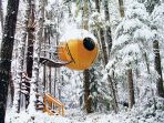 free-spirit-spheres-kanada_20180327_144712.jpg