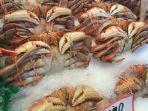 frozen-food-1.jpg