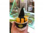 frozen-yogurt-black-sakura.jpg