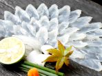 fugu_20180501_103021.jpg