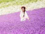 furano-tomita-farm-img.jpg