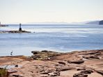 Misteri Puluhan Kaki Tanpa Tubuh yang Terus Bermunculan di Pantai-pantai Kanada, dari Mana Asalnya?