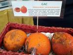Fruit and Veggie Festival - Kamu Bisa Makan Buah yang Limited Edition Cuma di Sini