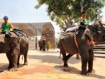 gajah-di-maharani-zoo-goa-lamongan.jpg