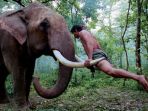 gajah-ekasit_20171129_091217.jpg