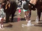 Niat Hati Mandikan Gajah, Turis Wanita Ini Malah Alami Hal Apes yang Bikin Ngilu