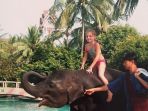 gajah-ning-nong_20171204_140900.jpg