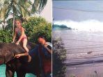 gajah-selamatkan-gadis-kecil-dari-tsunami.jpg