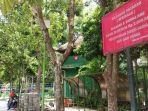 gajah-wong-educational-park-umbulharjo.jpg