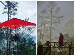 gantole-di-lawu-park-dan-suasana-lawu-park-tawangmangu-saat-berkabut.jpg