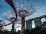 gardens-by-the-bay-di-singapura.jpg