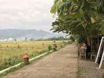 geblek-pari-bersisian-sawah.jpg