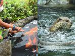gembira-loka-zoo-lengkap-dengan-harga-tiket-masuk-hotel-terdekat-dan-tempat-sewa-motor-di-jogja.jpg